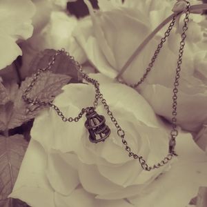 Bronze Birdcage Necklace